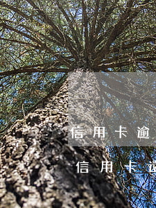 信用卡逾期還清后就想立即銷卡(逾期注銷的信用卡還能恢復(fù)嗎)