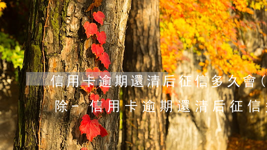 信用卡逾期還清后征信多久會(huì)消除-信用卡逾期還清后征信多久會(huì)消除記錄