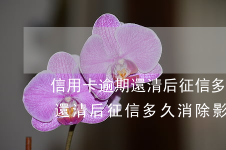 信用卡逾期還清后征信多久消除(信用卡逾期還清后征信多久消除影響)