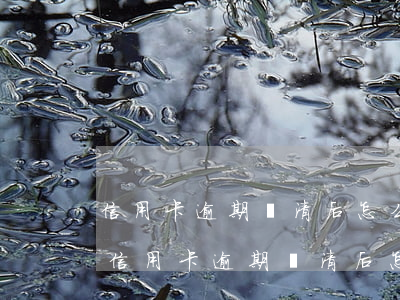 信用卡逾期還清后怎么恢復(fù)額度-信用卡逾期還清后怎么恢復(fù)額度了