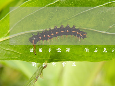 信用卡逾期還清后怎么處理(逾期的信用卡還清后需要注銷嗎)
