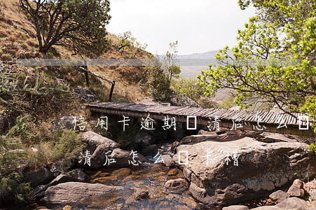 信用卡逾期還清后怎么開卡槽(信用卡逾期還清后怎么開卡槽)