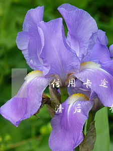 信用卡逾期還清后會有記錄嗎(信用卡逾期還清后會有記錄嗎)
