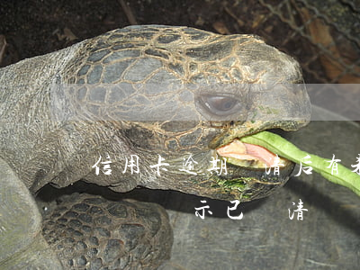 信用卡逾期還清后有未出賬單(為什么信用卡沒還顯示已還清?)