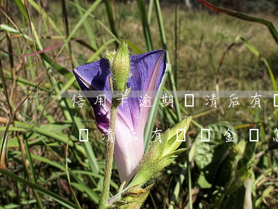 信用卡逾期還清后有違約金嗎-信用卡逾期還清后有違約金嗎怎么算