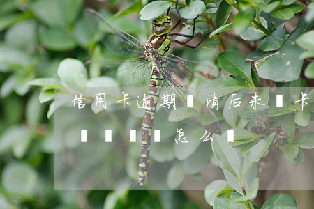 信用卡逾期還清后未銷卡(信用卡逾期被注銷錢還沒還怎么辦)