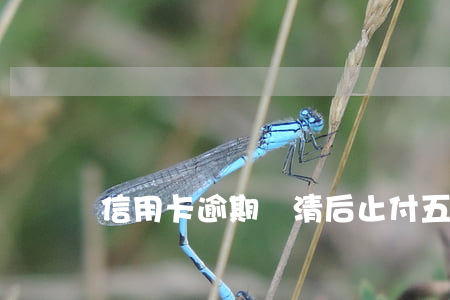 信用卡逾期還清后止付五年(逾期不還信用卡)