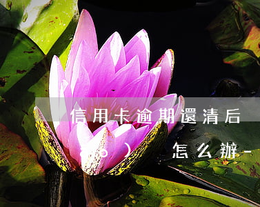 信用卡逾期還清后沒(méi)有銷(xiāo)戶怎么辦-信用卡逾期還清后沒(méi)有銷(xiāo)戶怎么辦理
