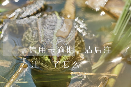 信用卡逾期還清后注銷了(信用卡逾期還清后注銷了怎么辦)