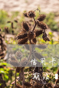 信用卡逾期還清后注銷卡片(之前的信用卡逾期注銷了還能申請嗎)