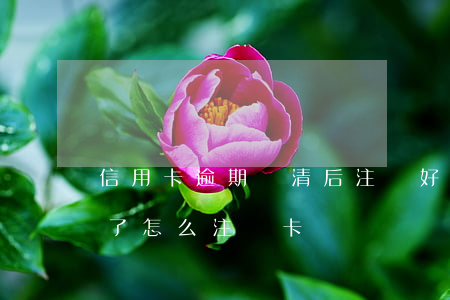 信用卡逾期還清后注銷好不好 欠信用卡還完了怎么注銷卡