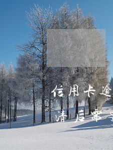 信用卡逾期還清后用注銷嗎(逾期的信用卡還清后需要注銷嗎)