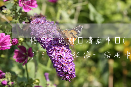 信用卡逾期還清后申請(qǐng)凍結(jié)征信-信用卡逾期還清后申請(qǐng)凍結(jié)征信怎么辦