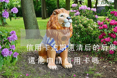 信用卡逾期還清后的后果(信用卡逾期還清了還能申請信用卡嗎)