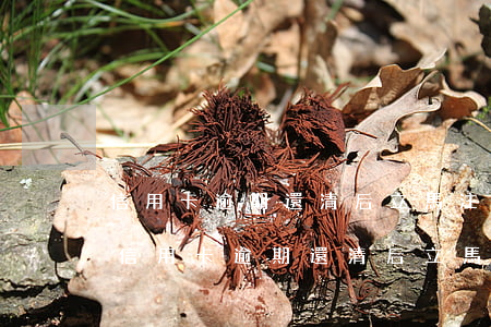 信用卡逾期還清后立馬注銷會有什么影響?-信用卡逾期還清后立馬注銷會有什么影響嗎