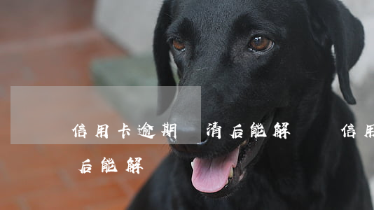 信用卡逾期還清后能解凍嗎(信用卡逾期還清后能解凍嗎)