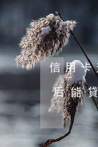 信用卡逾期還清后能貸款嗎(信用卡逾期還清后能貸款嗎)