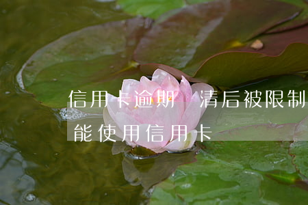 信用卡逾期還清后被限制使用(逾期還清后還能使用信用卡嗎)