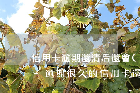 信用卡逾期還清后還會(huì)漲利息嗎-逾期很久的信用卡還清了還能繼續(xù)用嗎?
