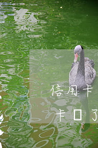 信用卡逾期還清后還會起訴我嗎(為什么信用卡還了還顯示逾期)