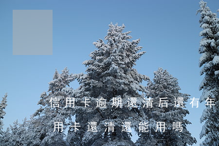 信用卡逾期還清后還有年費嗎(逾期一年的信用卡還清還能用嗎)