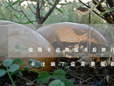信用卡逾期還清后銀行不給銷卡 銀行把信用卡注銷了還需要還款嗎