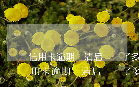 信用卡逾期還清后銷戶了,多久可以貸款-信用卡逾期還清后銷戶了,多久可以貸款買房