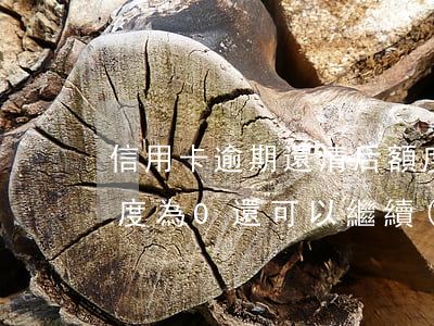 信用卡逾期還清后額度(信用卡逾期還清后額度為0還可以繼續(xù)使用嗎?)