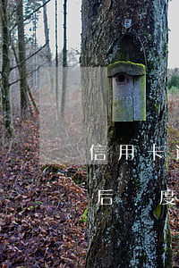 信用卡逾期還清后額度為0(信用卡逾期還清后額度為0還可以繼續(xù)使用嗎?)