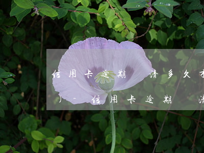信用卡逾期還清多久才可以申請(qǐng)-信用卡逾期還清多久才可以申請(qǐng)房貸