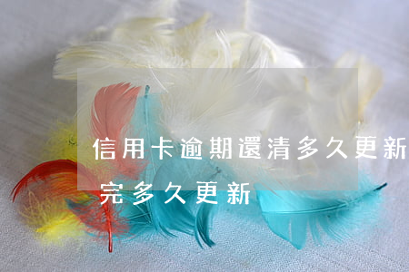 信用卡逾期還清多久更新征信-征信逾期還完多久更新