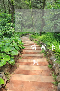 信用卡逾期還清多久能恢復(fù)使用(還到過(guò)期的信用卡怎么辦)