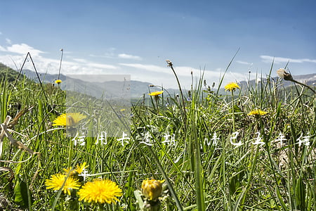 信用卡逾期還清已五年(信用卡逾期還清已五年)