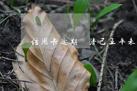 信用卡逾期還清已五年未還