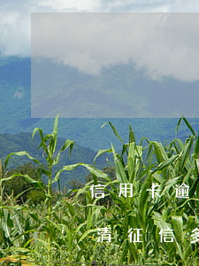 信用卡逾期還清征信多久會消(信用卡逾期還清征信多久會消)