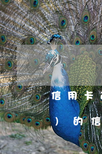 信用卡逾期還清怎么解凍 逾期凍結(jié)的信用卡還能解凍嗎