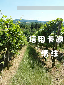 信用卡逾期還清怎樣注銷(信用卡逾期了后面還清注銷了現(xiàn)在怎么消除)