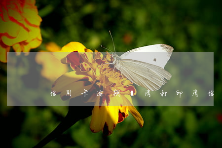 信用卡逾期還清打印(清信用卡逾期記錄)