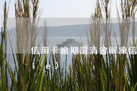 信用卡逾期還清會解凍 信用卡 逾期 凍結(jié)