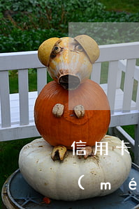 信用卡逾期還清有額度沒(méi)法用(沒(méi)有能力還信用卡,全部逾期了怎么辦)