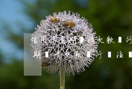 信用卡逾期還清欠款銀行讓注銷-信用卡逾期還清欠款銀行讓注銷怎么辦