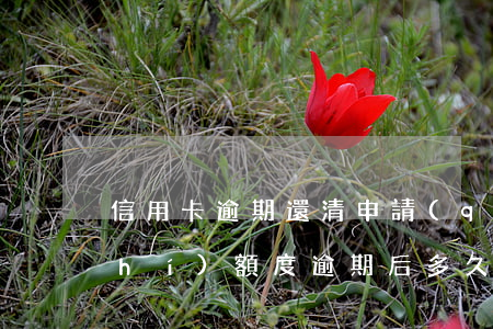 信用卡逾期還清申請(qǐng)臨時(shí)額度 逾期后多久可申請(qǐng)臨時(shí)額度