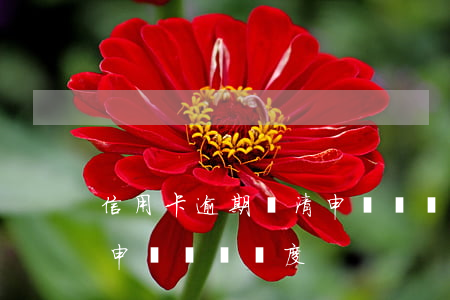信用卡逾期還清申請臨時額度 逾期后多久可申請臨時額度
