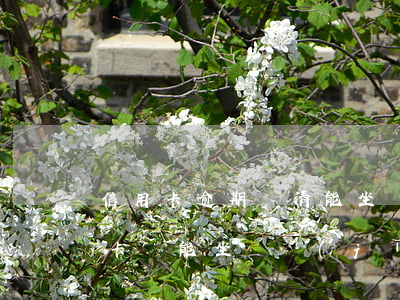 信用卡逾期還清能坐飛機(jī)嗎(欠信用卡還能坐飛機(jī)嗎)