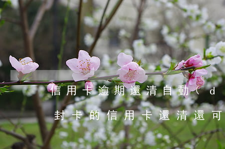 信用卡逾期還清自動(dòng)解封 逾期封卡的信用卡還清還可以開卡嗎?