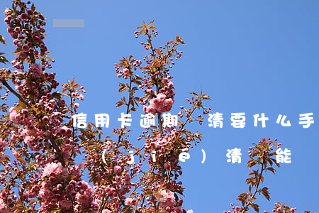 信用卡逾期還清要什么手續(xù)(逾期已結(jié)清還能辦理信用卡)