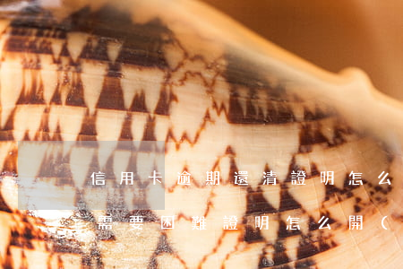 信用卡逾期還清證明怎么弄-還信用卡逾期需要困難證明怎么開(kāi)