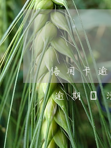 信用卡逾期還清還有什么手續(xù) 嚴重逾期還清后申請信用卡