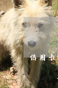 信用卡逾期還清還有額度