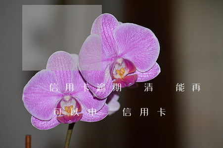 信用卡逾期還清還能再辦嗎 逾期還清兩年后可以申請信用卡嗎